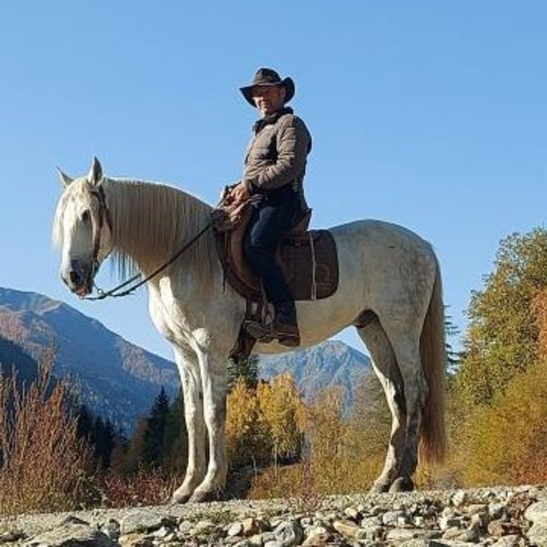 Rudi Auf Der Klamm - Signum Sattelservice